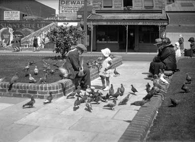 Pigeon Park Wellington 1930, a bit before my time. One of my childhood loves.